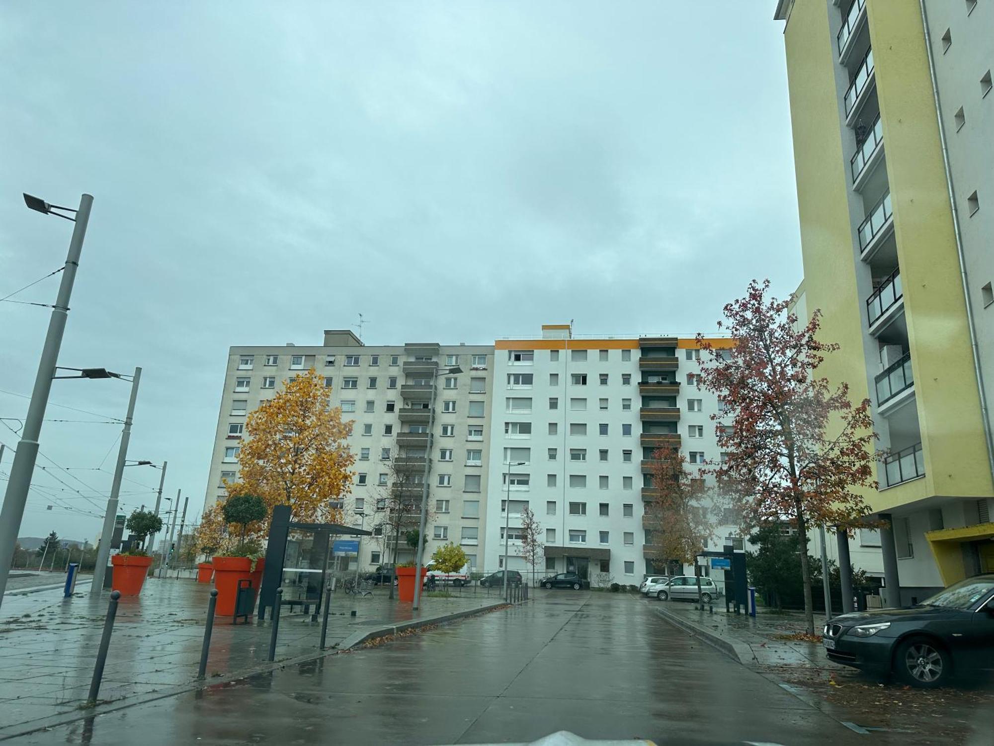 Magnifique Studio Avec Netflix Saint-Louis  Exteriér fotografie